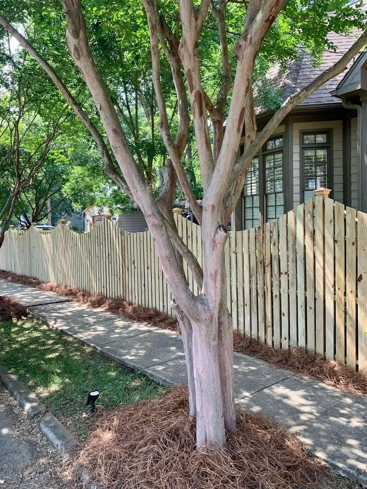 Affordable landscape installation with custom design in McCalla, AL by Edmonds & Co