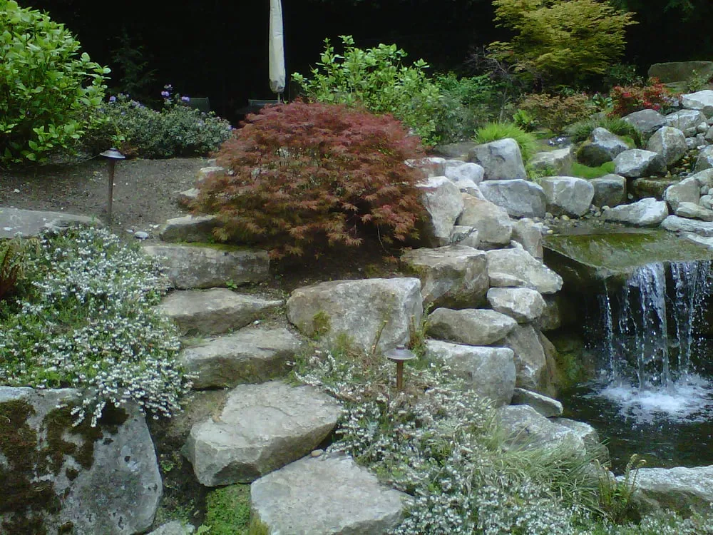Local landscaping services experts serving Edmonds, WA - Edmonds Landscaping Inc