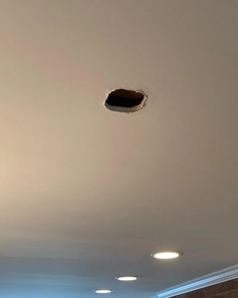 Top-rated outdoor landscaping in Leesburg, GA by Edmonds