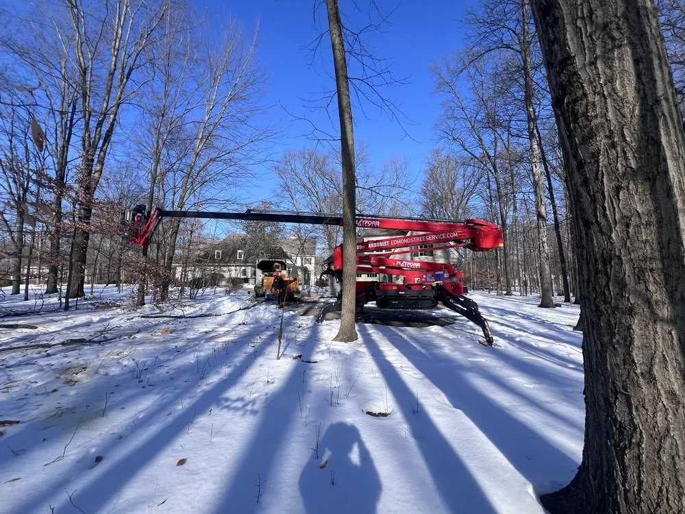 Trusted residential landscaping in Delaware, OH - Edmonds Tree & Landscape Service