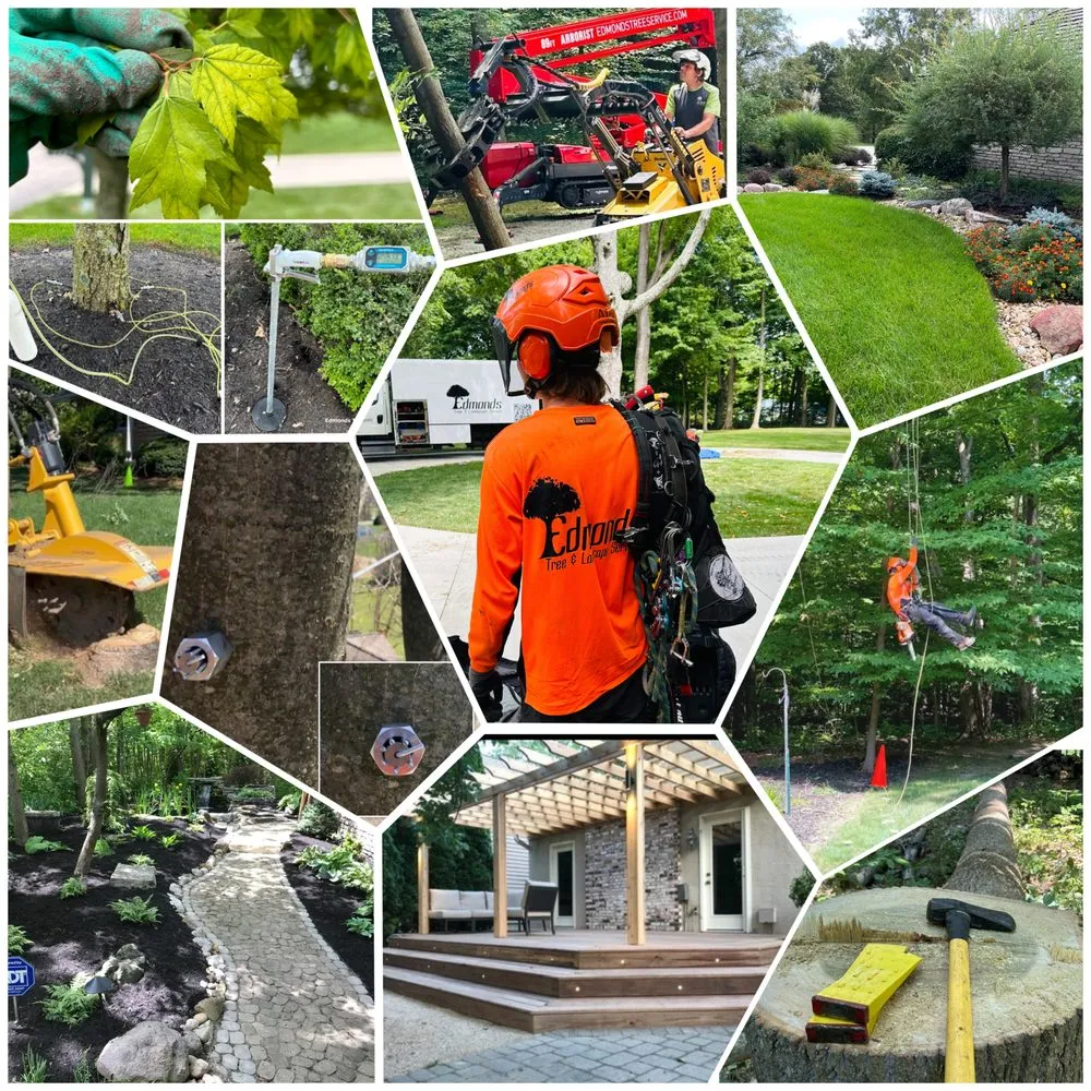 Local yard cleanup service with custom design in Delaware, OH by Edmonds Tree & Landscape Service