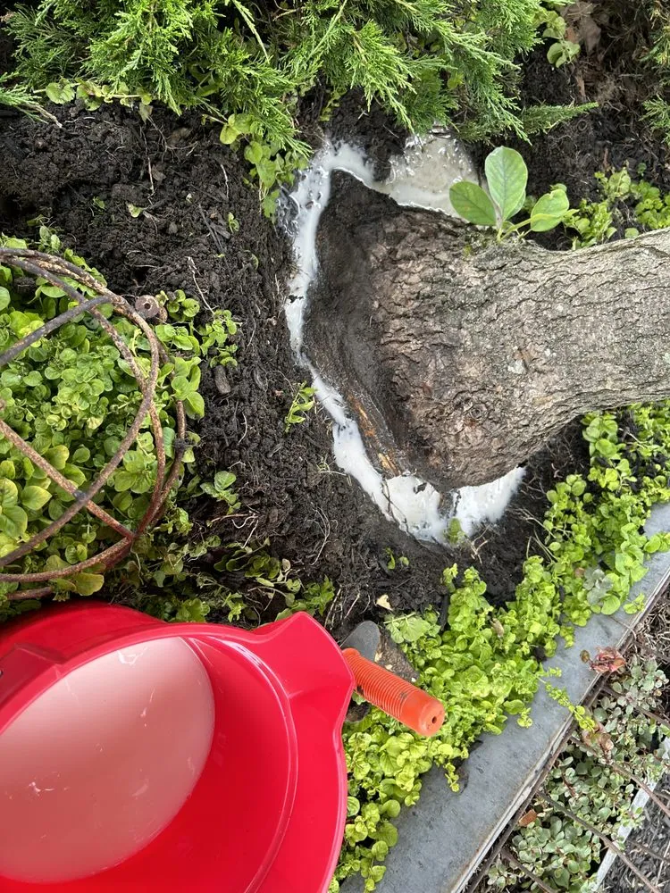 Trusted landscape design near you across Delaware, OH - Edmonds Tree & Landscape Service