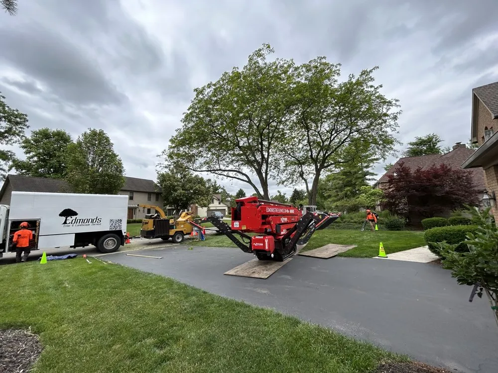 Top-rated landscaping services for outdoor upgrades across Delaware, OH - Edmonds Tree & Landscape Service