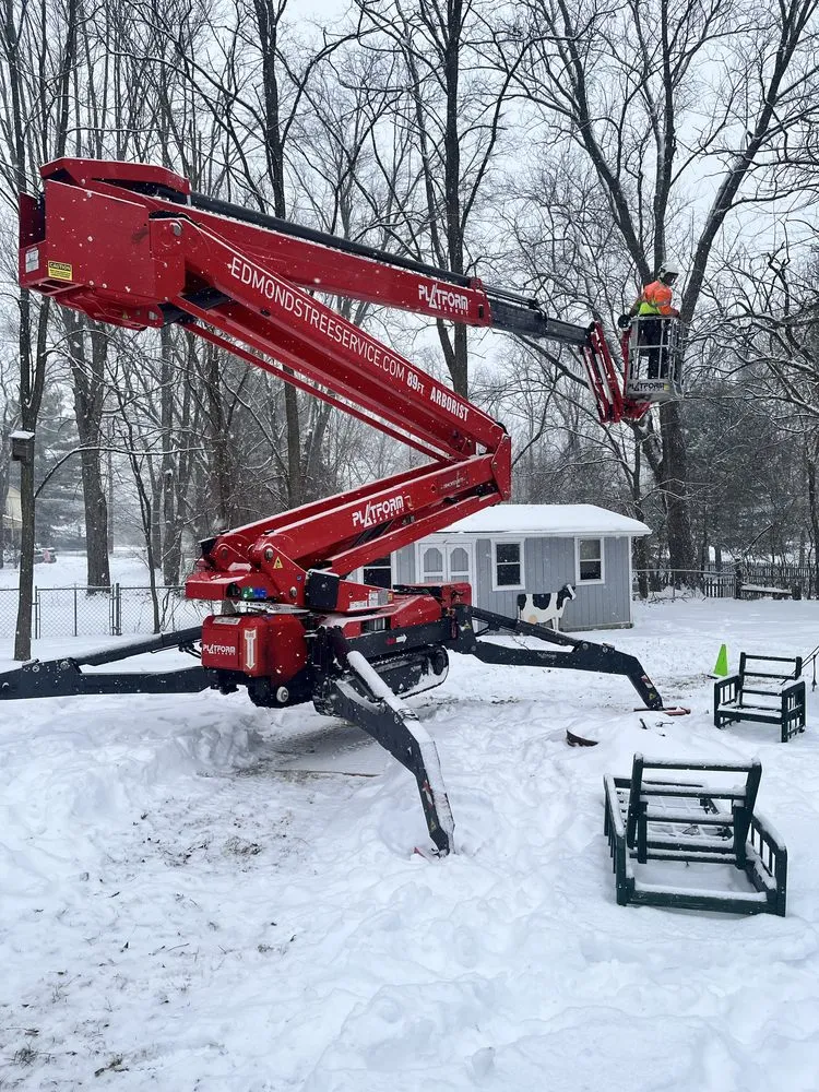 Trusted yard cleanup service in Delaware, OH - Edmonds Tree & Landscape Service