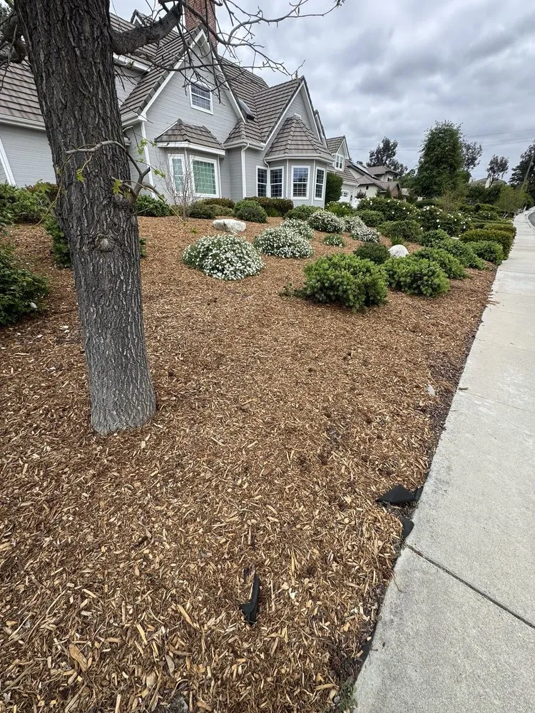 Reliable lawn mowing service in Hemet, CA by Edmundo’s Landscaping