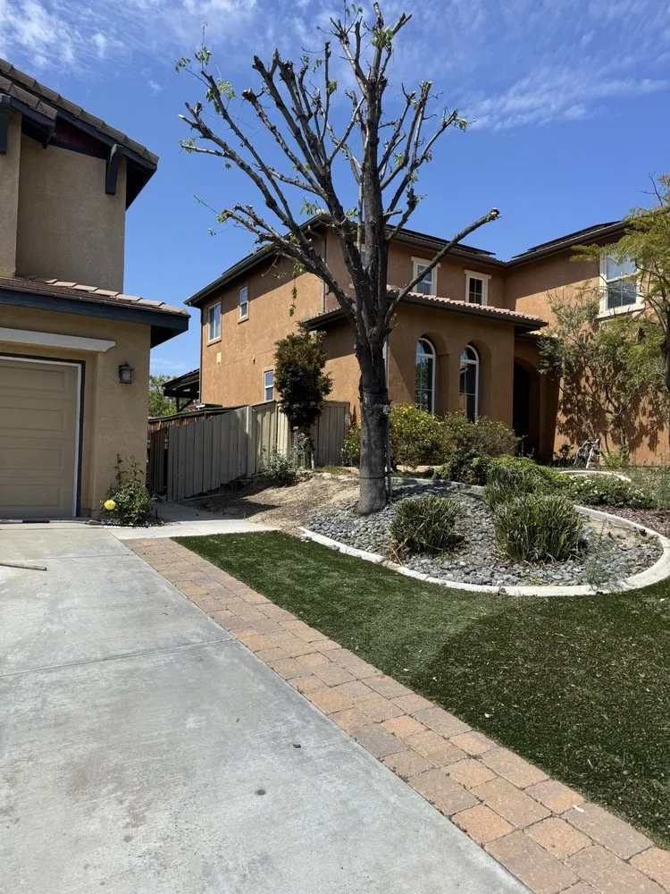 Affordable lawn care service experts serving Hemet, CA - Edmundo’s Landscaping