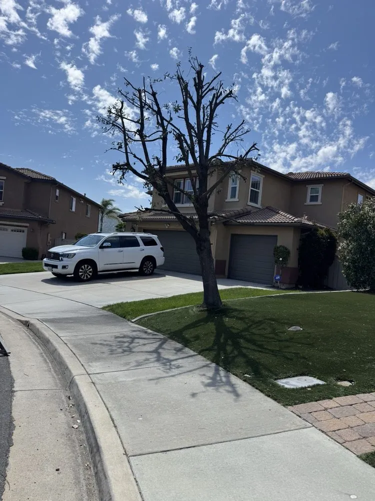 Custom landscape design in Hemet, CA by Edmundo’s Landscaping