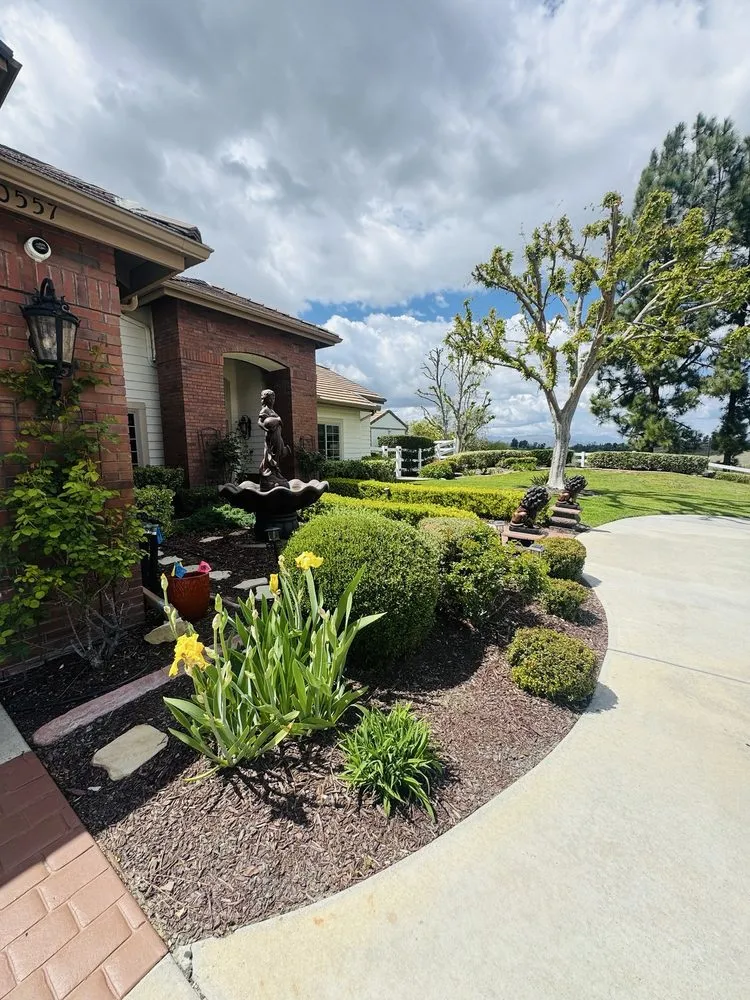 Affordable lawn care service experts serving Hemet, CA - Edmundo’s Landscaping