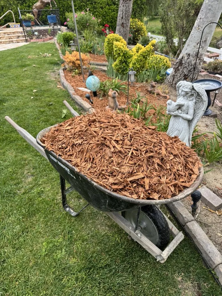 Top-rated lawn mowing service for beautiful yards in Hemet, CA by Edmundo’s Landscaping