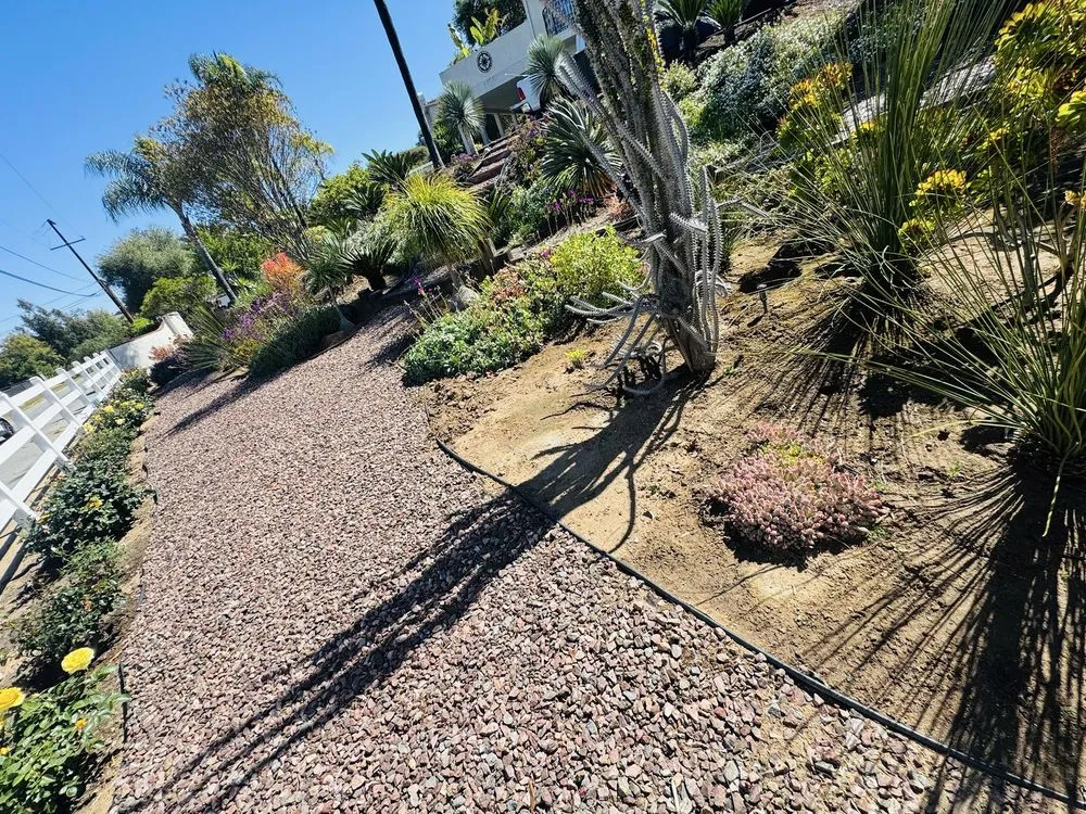 Top-rated yard cleanup service in Hemet, CA - Edmundo’s Landscaping