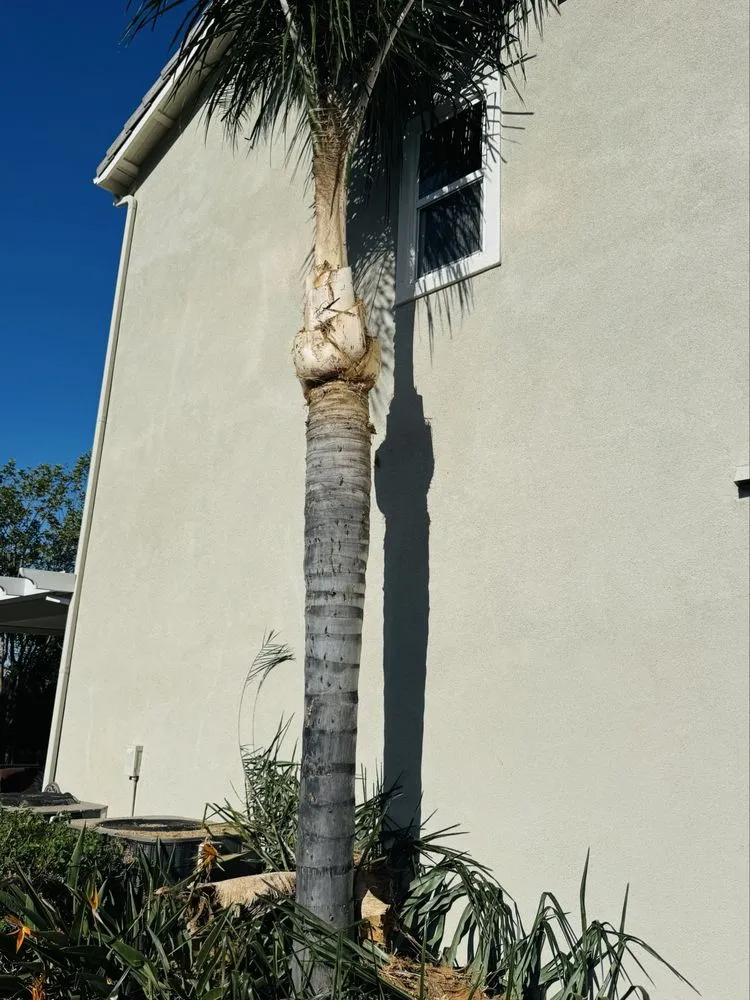 Top-rated residential landscaping in Hemet, CA - Edmundo’s Landscaping