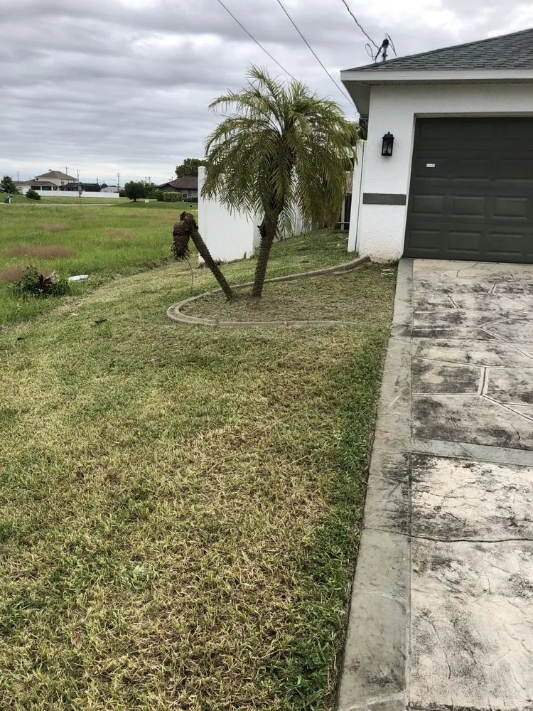 Expert yard cleanup service in Lehigh Acres, FL - Edouard’s landscaping