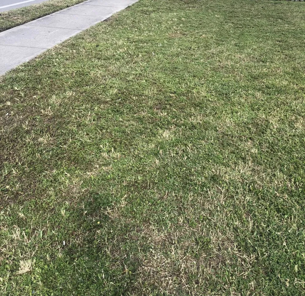 Reliable garden landscaping for residential properties across Lehigh Acres, FL - Edouard’s landscaping