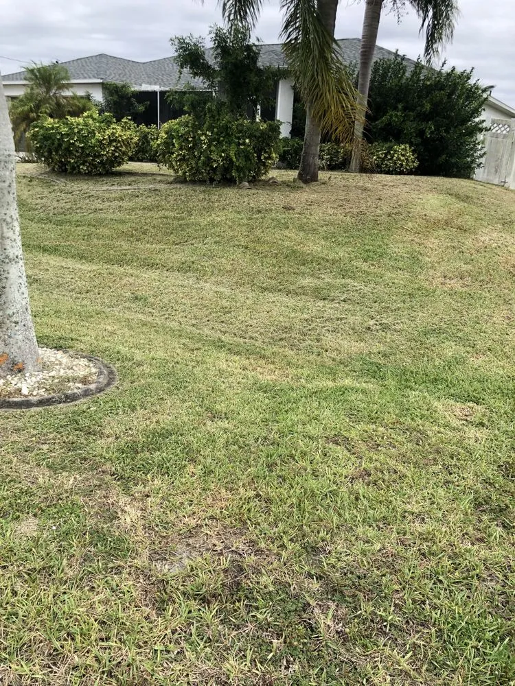 Expert lawn mowing service in Lehigh Acres, FL by Edouard’s landscaping