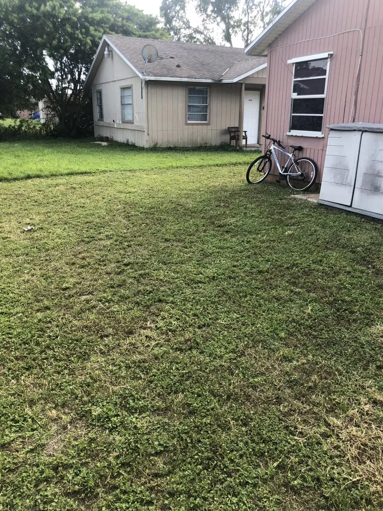 Local yard cleanup service for outdoor upgrades in Lehigh Acres, FL by Edouard’s landscaping