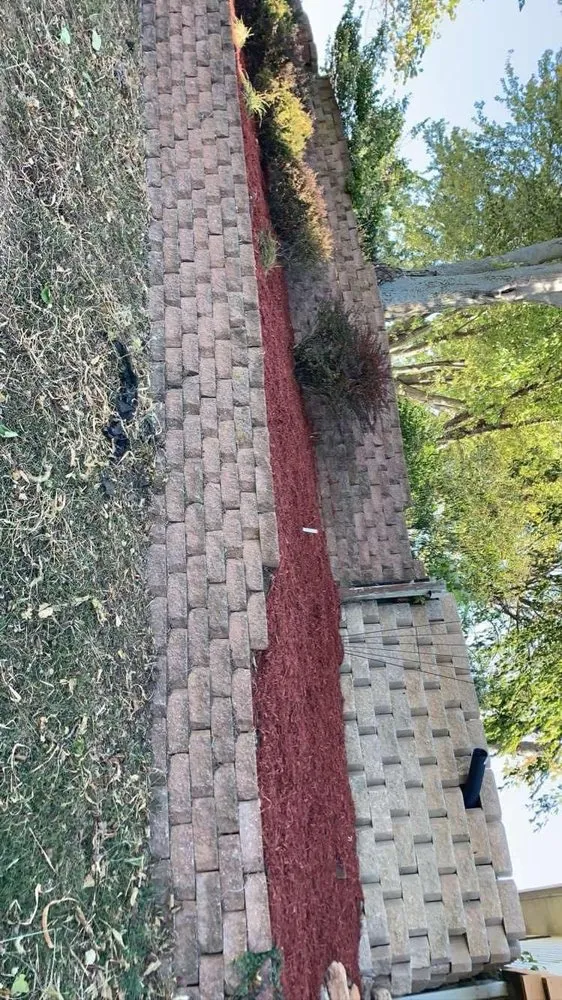 Top-rated landscaping services for year-round maintenance across Lenexa, KS - EDQ Landscape & Flat Concrete