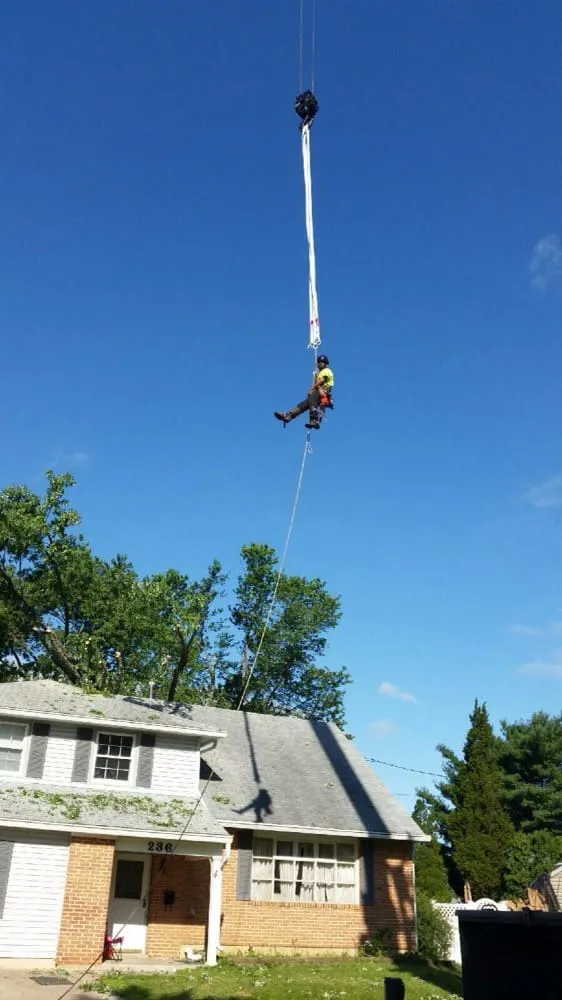 Affordable lawn care service in Philadelphia, PA - Eds Affordable Tree & Landscaping Service