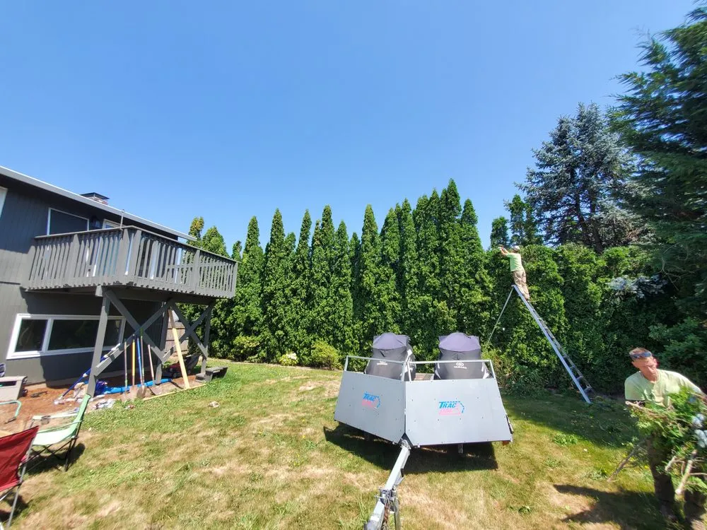 Affordable yard cleanup service in Gresham, OR by Eds Arbor Care