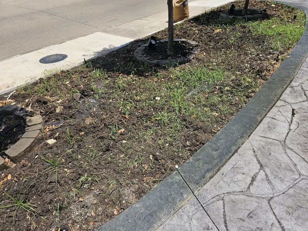 Top-rated yard maintenance for year-round maintenance in Garland, TX by Ed’s Flores Landscaping