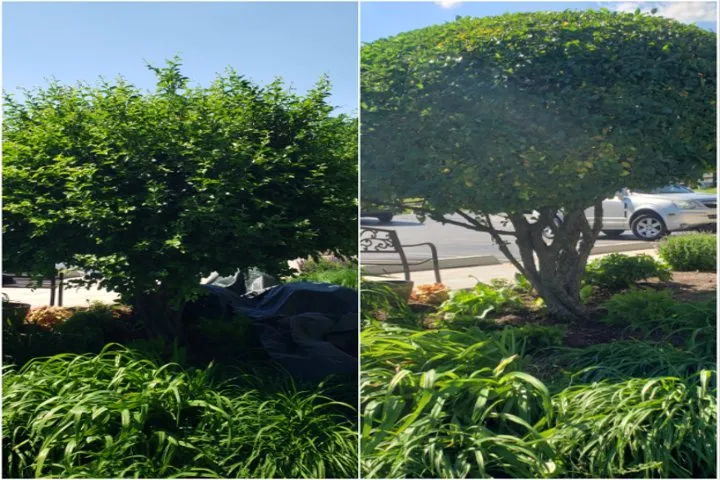 Local yard maintenance in Dyer, IN by Ed's Landscape Service