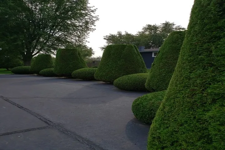 Local residential landscaping for outdoor upgrades in Dyer, IN by Ed's Landscape Service