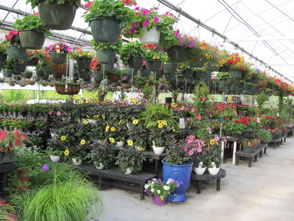 Affordable lawn mowing service experts serving Mechanicsville, VA - Ed’s Landscaping & Garden Center