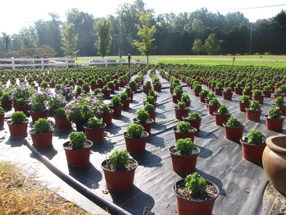 Trusted lawn care service in Mechanicsville, VA by Ed’s Landscaping & Garden Center