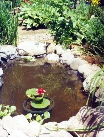 Affordable residential landscaping for residential properties in Natick, MA by Ed's Landscaping & Tree Service