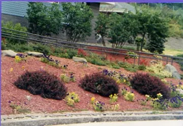 Affordable landscape design for residential properties across Natick, MA - Ed's Landscaping & Tree Service