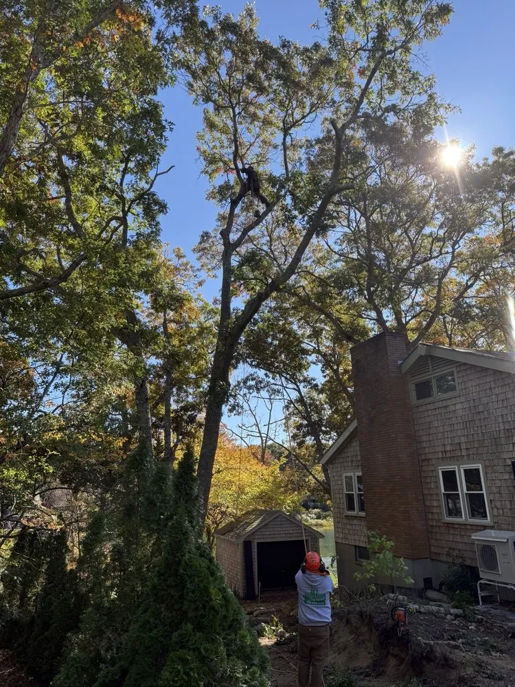 Professional landscape design for beautiful yards across Teaticket, MA - Ed's Landscaping & Tree service