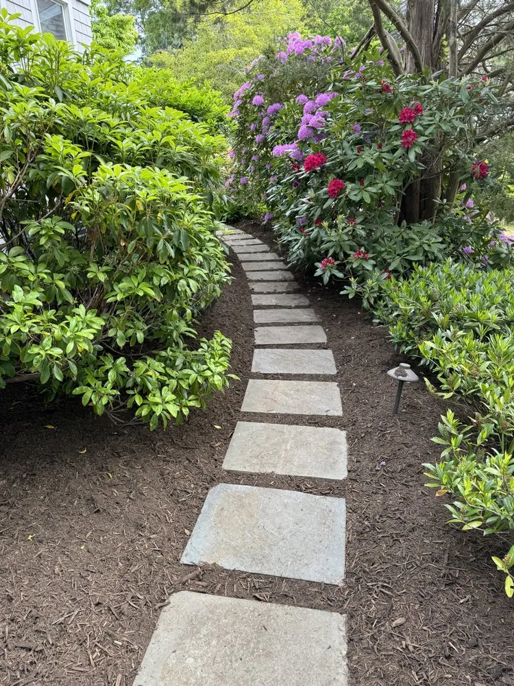 Local yard cleanup service in Teaticket, MA by Ed's Landscaping & Tree service