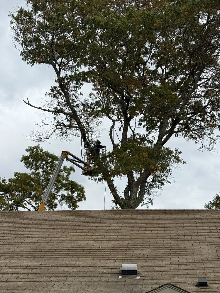 Top-rated garden landscaping in Teaticket, MA - Ed's Landscaping & Tree service