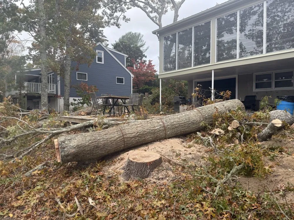 Top-rated residential landscaping experts serving Teaticket, MA - Ed's Landscaping & Tree service