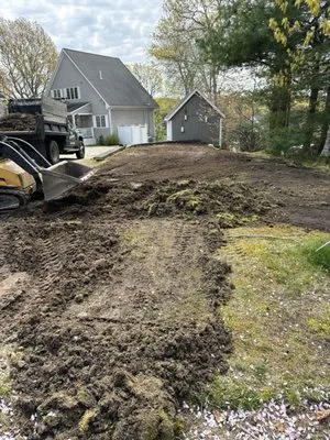 Ed's Landscaping & Tree service