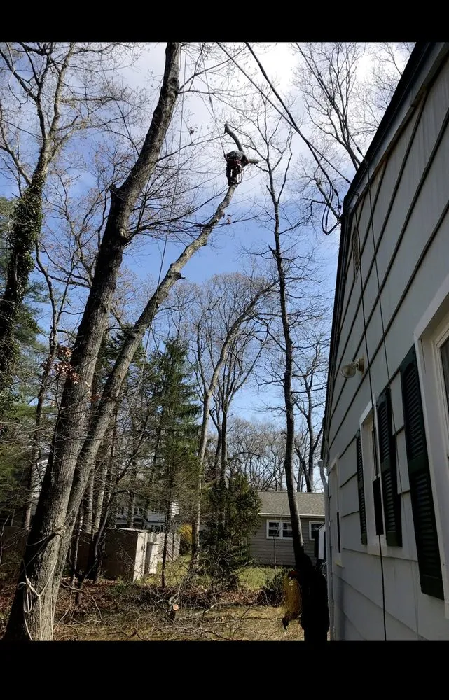 Top-rated residential landscaping in Vineland, NJ - Ed’s Landscaping and Hardscaping