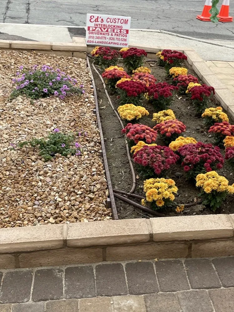 Professional landscape installation in Glendale, CA by Ed's Landscaping