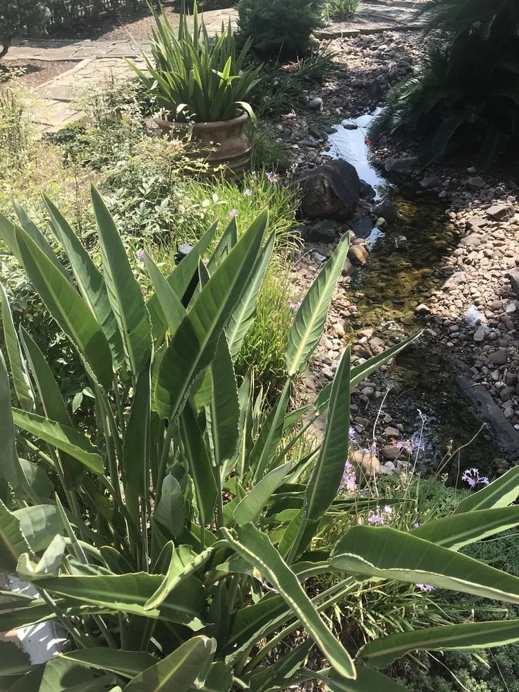 Expert lawn care service in Kemah, TX by EDS Landscaping