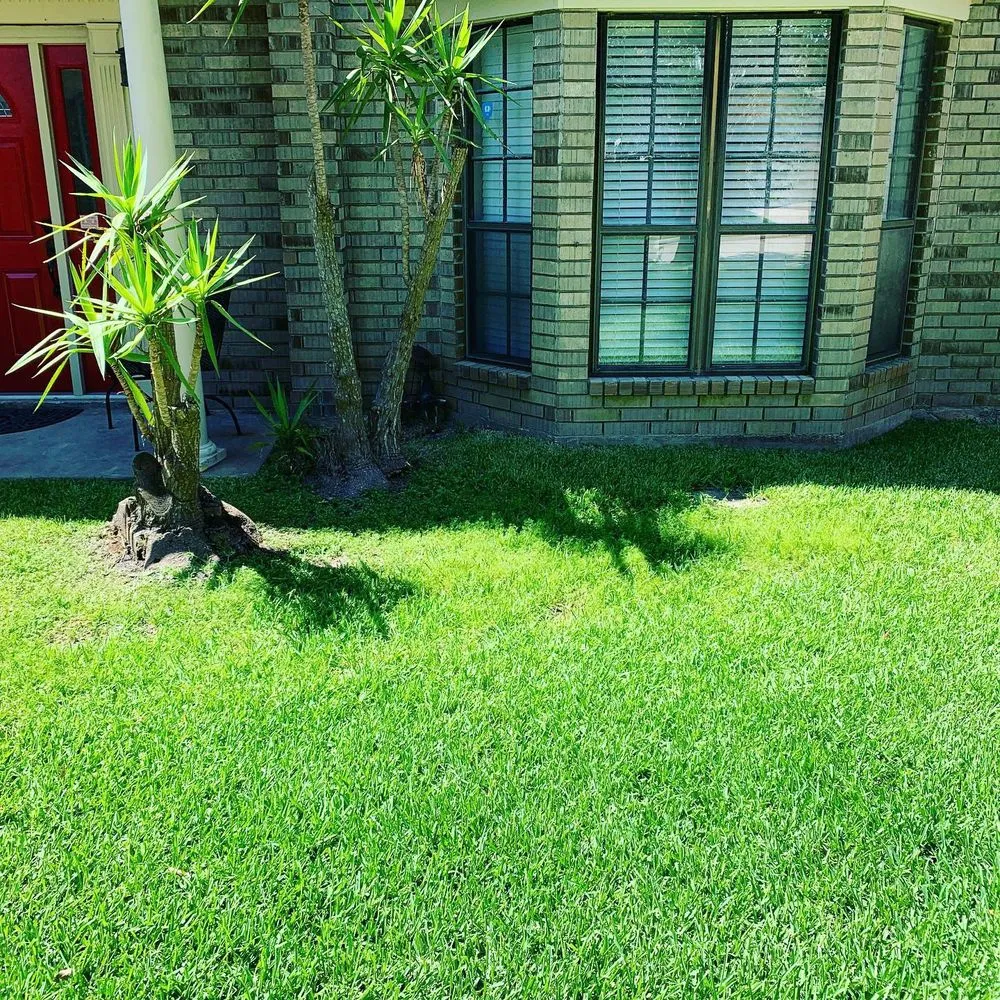 Trusted landscaping services near you across Kemah, TX - EDS Landscaping