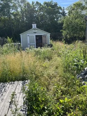 Ed’s Landscaping Services Logo