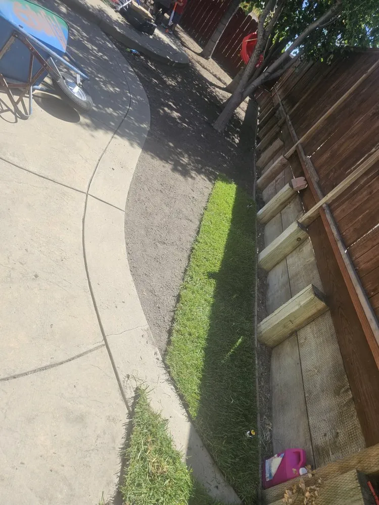 Affordable landscaping services experts serving Pittsburg, CA - Ed's Landscaping Work