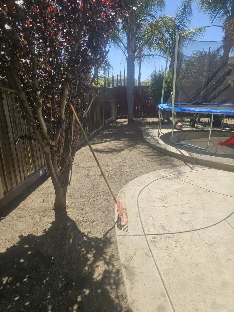 Trusted yard maintenance for year-round maintenance across Pittsburg, CA - Ed's Landscaping Work