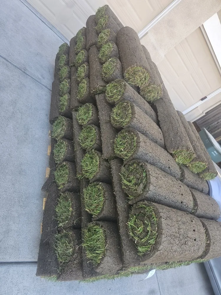 Top-rated garden landscaping for beautiful yards in Pittsburg, CA by Ed's Landscaping Work