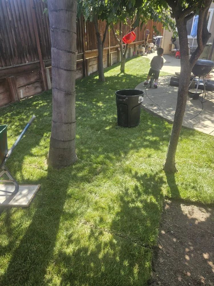 Local lawn care service for residential properties across Pittsburg, CA - Ed's Landscaping Work