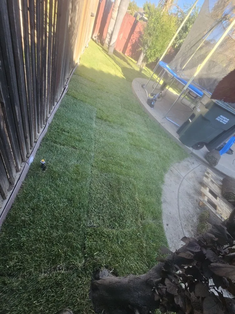 Trusted lawn care service experts serving Pittsburg, CA - Ed's Landscaping Work