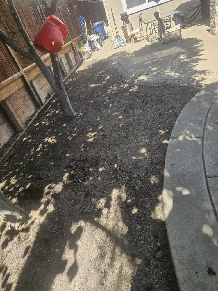 Affordable landscape design experts serving Pittsburg, CA - Ed's Landscaping Work