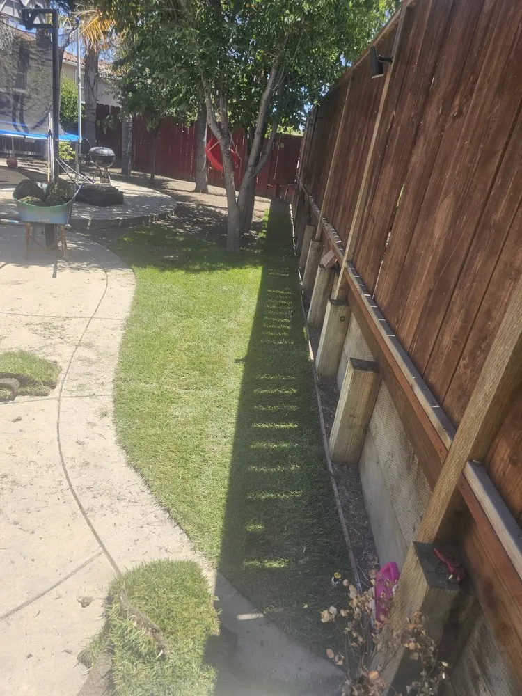 Professional yard cleanup service in Pittsburg, CA - Ed's Landscaping Work