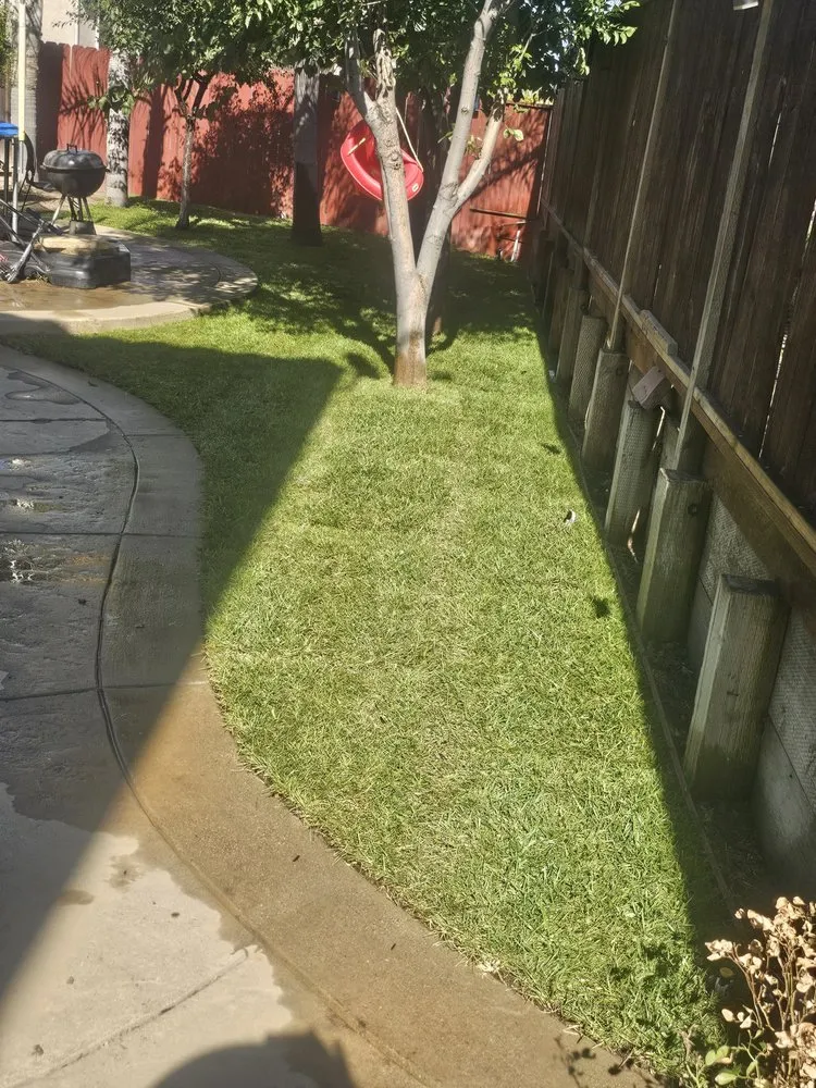 Reliable residential landscaping experts serving Pittsburg, CA - Ed's Landscaping Work