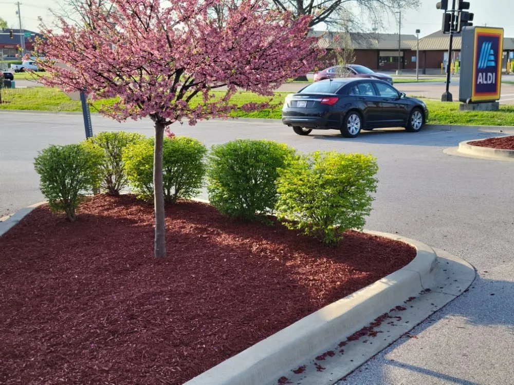 Reliable lawn mowing service in Saint Louis, MO by Eds Lawn & Landscape