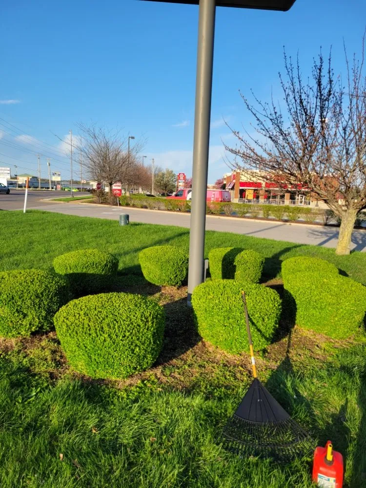 Local lawn care service in Saint Louis, MO - Eds Lawn & Landscape