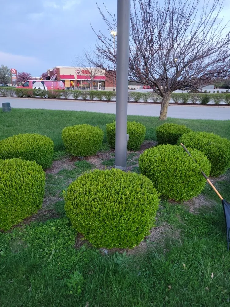 Custom yard cleanup service for outdoor upgrades in Saint Louis, MO by Eds Lawn & Landscape